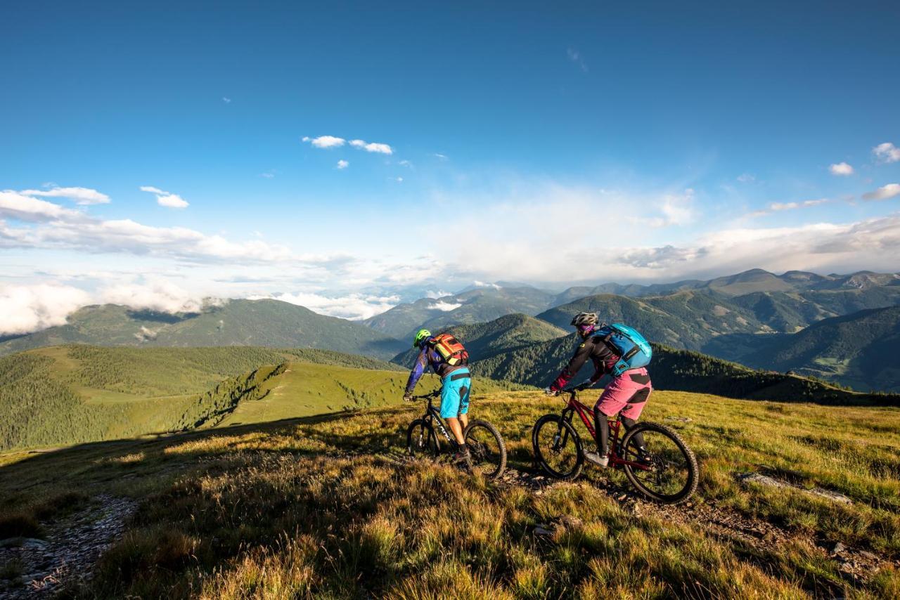 Heimeliges In Den Bergen Bad Kleinkirchheim